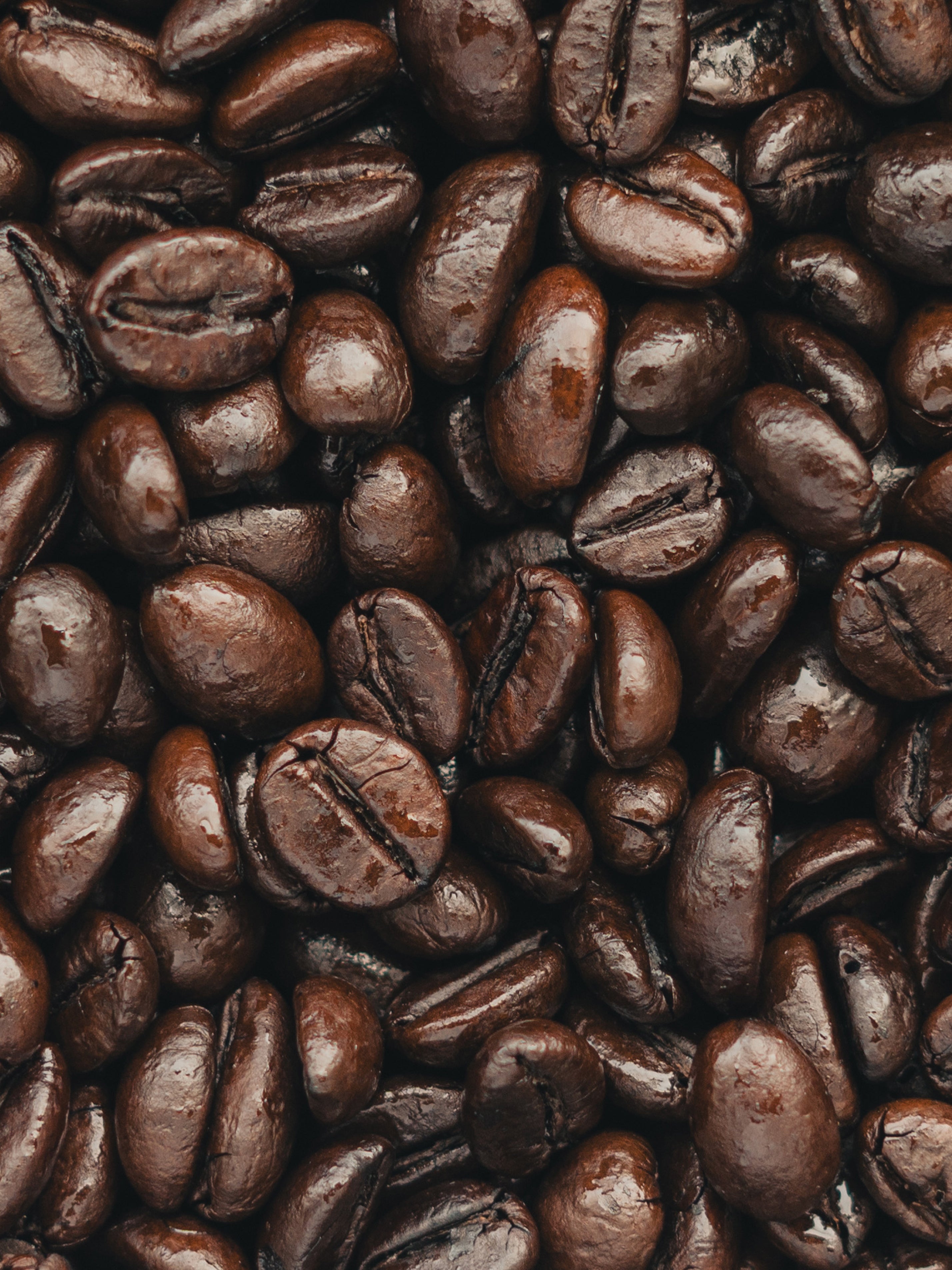 DARK ROASTED COFFEES