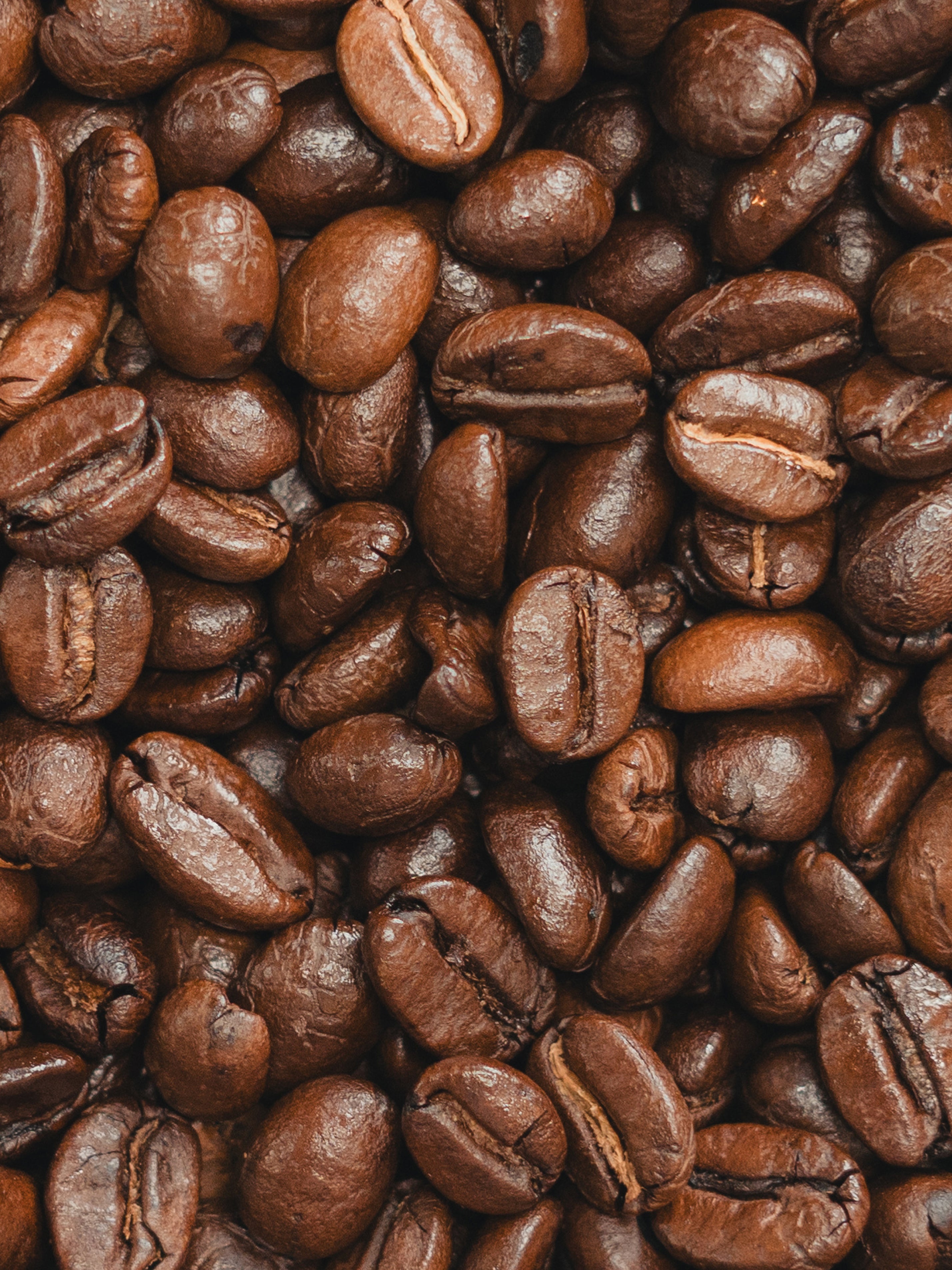 MEDIUM ROASTED COFFEE
