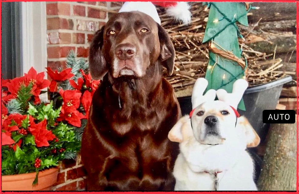 SEASONAL BLENDS & HOLIDAY FLAVORED "SINGLE ORIGIN" COFFEES!